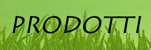 scopri i nostri PRODOTTI pulsante PRODOTTI